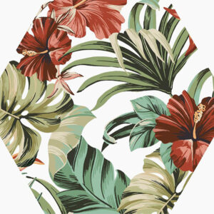 Hexa Blanc Tucan Mat 23x27