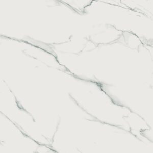 Supreme Evo Statuario Superior Mat 60x120